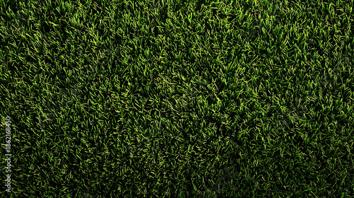 Dark Green Grass Texture Close Up background nature