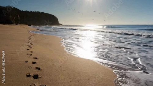 Lone footprints lead along a sun-drenched beach towards the sparkling ocean waves.