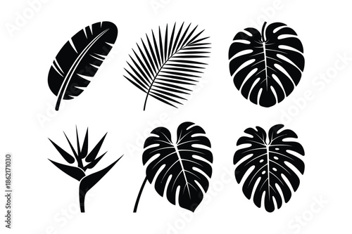 Tropical Leaf Silhouettes Collection for Exotic Botanical Design