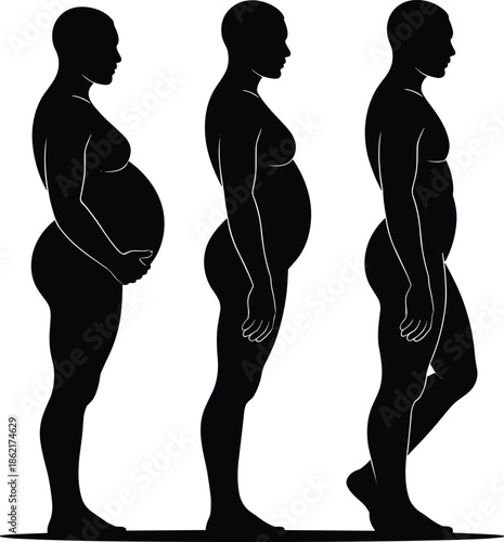 Pregnancy stages female body silhouette, maternity transformation timeline, prenatal development concept, women health wellness illustration, motherhood journey anatomy profile