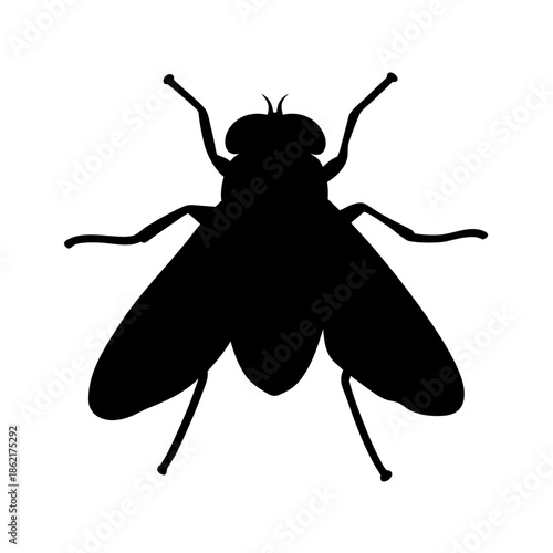 Isolated black fly insect silhouette vector illustration with detailed features