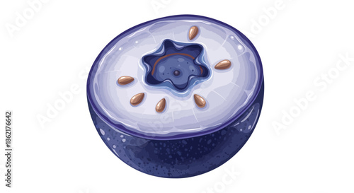 A vibrant and detailed illustration of a blueberry cut in half, revealing its light purple interior, small seeds, and star-shaped core.