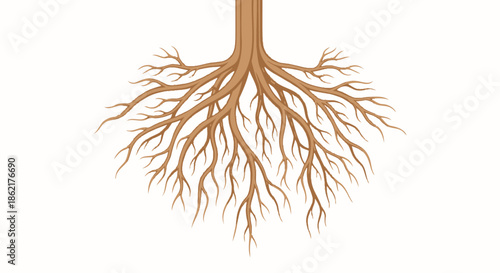 A detailed illustration of a tree's extensive root system with a visible trunk section, isolated on a white background.