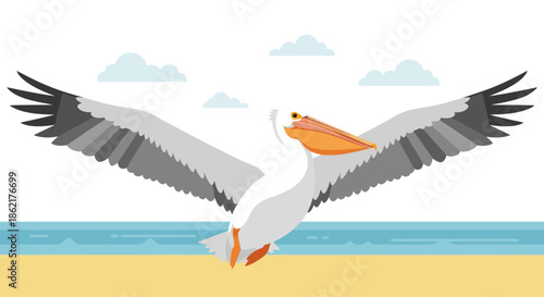 A white pelican with an orange beak flying gracefully over a sandy beach with the ocean and clouds in the background, vector illustration.