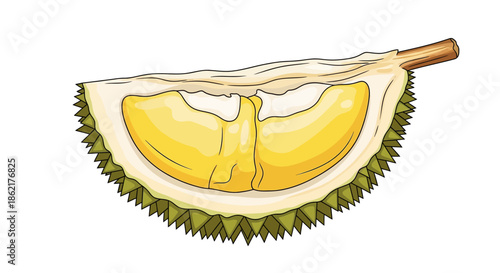 A close-up illustration of a ripe durian fruit slice, showcasing its creamy yellow flesh and spiky green rind.