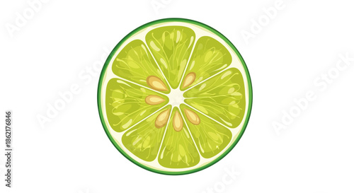 A vibrant, cross-section illustration of a fresh lime, showcasing its juicy segments and seeds.