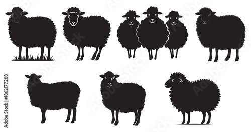 Sheep Silhouette Collection Set Farm Animal Vector Illustration