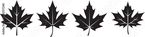 Black filled maple leaf vector set with four solid silhouettes featuring sharp lobes and clean edges arranged horizontally representing autumn foliage botanical symbol and natural graphic style 