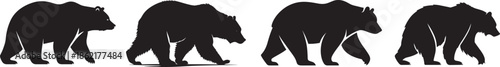 Black bear silhouette set walking in different poses, side view wild animal vector illustration isolated on white background, strong mammal shapes showing movement and power