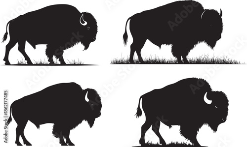 American bison silhouette collection in walking and standing poses, side view wild buffalo animal vector illustration isolated on white background, powerful mammal form showing strength and movement