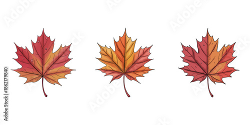 Three stylized maple leaves in red, black, and white.