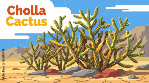 cholla cactus glows under strong desert sunlight, revealing sharp segmented branches and a distinctive silhouette adapted to intense heat and dryness