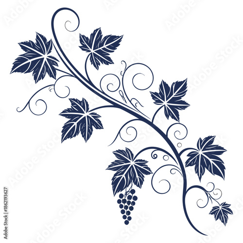 Elegant vine with leaves and grapes
