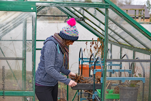 Female worker in a greenhouse.