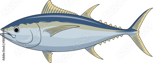 Tuna fish illustration, ocean wildlife drawing, seafood clipart, marine animal vector, culinary