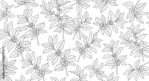 Seamless pattern background featuring multiple detailed line drawings of coffee branches with leaves and beans on white.