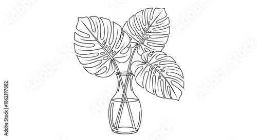 Line art drawing of three monstera leaves in a glass vase filled with water shown in a minimal style on white.