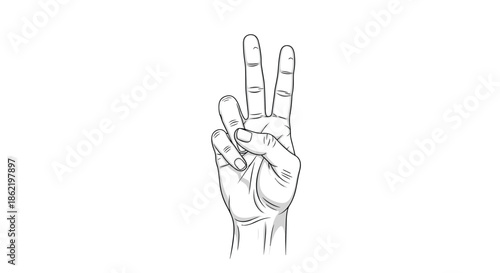 Realistic line art drawing of a human hand showing the peace, victory, or two fingers gesture on white background.