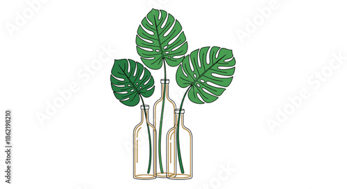 Elegant and minimalist illustration of three large green Monstera leaves placed inside simple clear glass bottles.