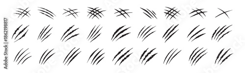 Claw scratches isolated. Black Bear tiger claws trails, animal scratched white paper. Flat scratch marks, racy wild beast tracks clipart