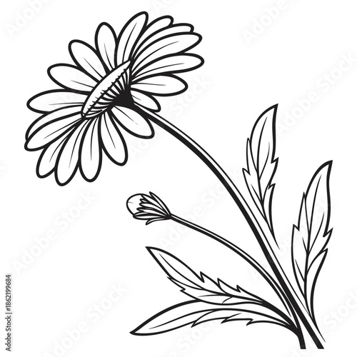 Simple daisy illustration