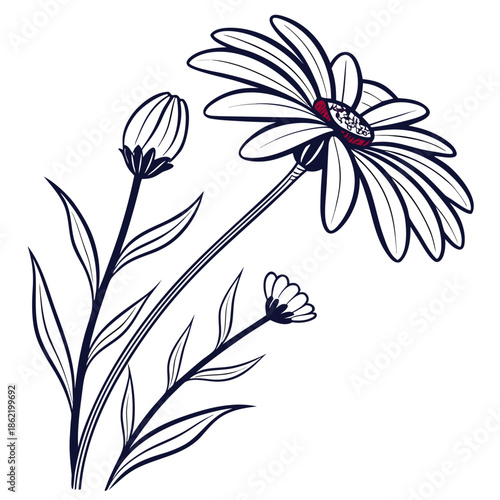 White daisy flower with ladybug