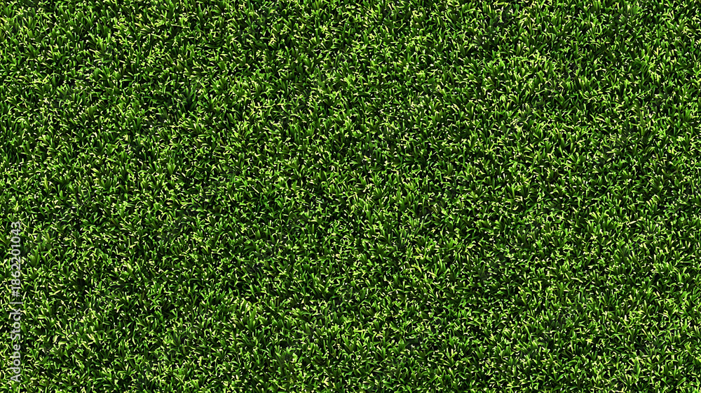 Obraz premium Seamless Green Grass Texture for Backgrounds lawn field