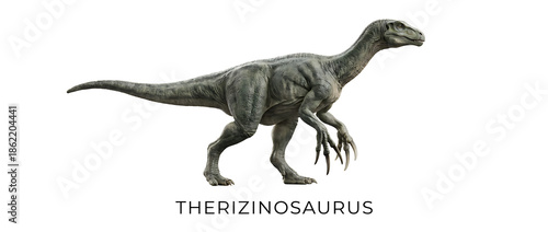 A detailed illustration of a Therizinosaurus dinosaur, standing on a white background.