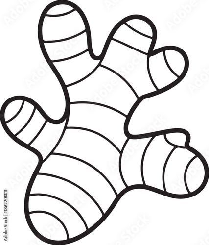 Ginger Root Line Art Vector Illustration for Coloring Book Page