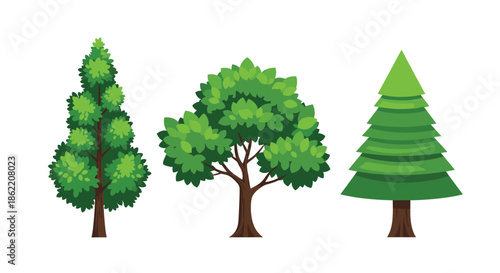 Collection of three different green trees including a pine tree, a leafy deciduous tree, and a tall conical tree on white.