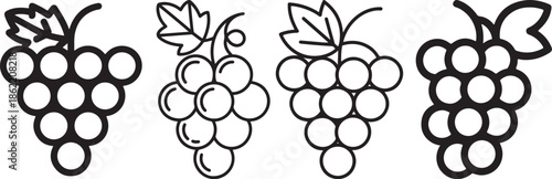 Set of Grape Line Art Vector Illustration for Coloring Book Page