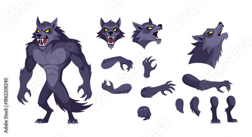 Detailed character design sheet for a grey werewolf featuring a full body pose, facial expressions, and limb variations.