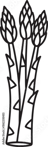 Asparagus Spear Line Art Vector Illustration for Coloring Book Page
