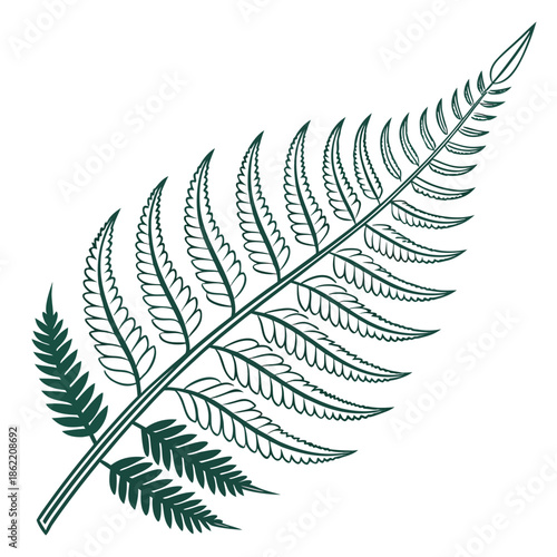 Intricate fern leaf illustration