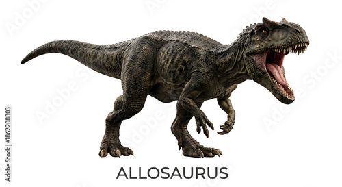 A fearsome Allosaurus dinosaur roars with its mouth wide open, showing teeth.