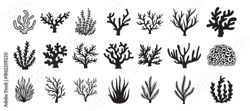 Coral silhouettes, seaweed black icon. Abstract organic corals shape, underwater plant, sea doodle. Cartoon marine floral isolated set 