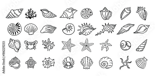 Shells doodle hand drawn style set. Outline seashells, starfish black outline sketch isolated elements on white background for design clipart template