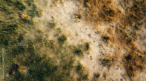 Transition from Lush Green Grass to Dry Earth Aerial View