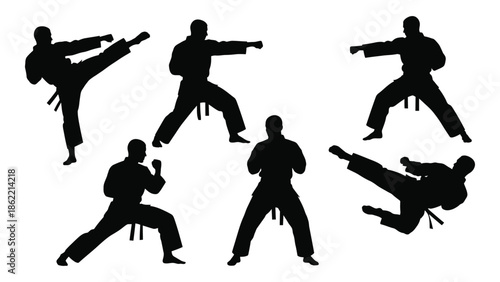 Silhouettes of martial artists practicing dynamic kicks and fighting stances