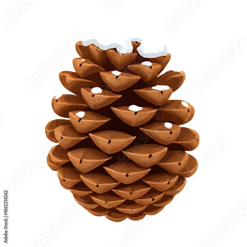 Pinecone Illustration