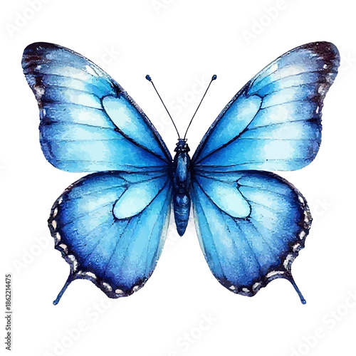 Vibrant Blue Butterfly Isolated on White Background