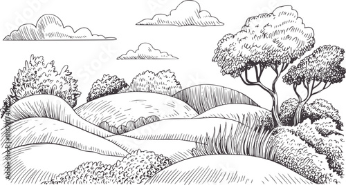 Detailed hand drawn landscape with rolling hills trees and clouds line handdrawn