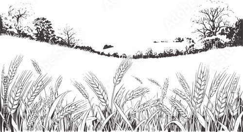 Detailed monochromatic of wheat field with rolling hills and trees agriculture plants
