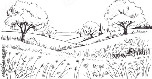 Detailed hand drawn pencil style landscape with trees and meadow vegetation