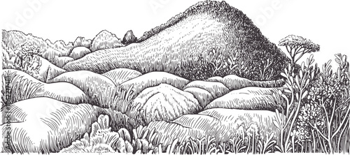 Detailed monochromatic pen and ink of rolling hills and vegetation