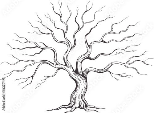 Detailed monochrome of a solitary tree with twisted branches