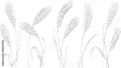 Minimalist black and line featuring wheat stalks and grains