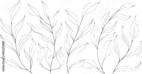 Minimalist black and line leaves branches