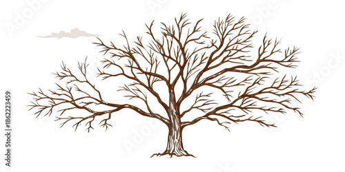 A solitary leafless tree silhouetted against a dark sky with a small cloud