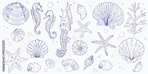 A delicate blue sketch featuring seashells seahorses starfish and marine plants